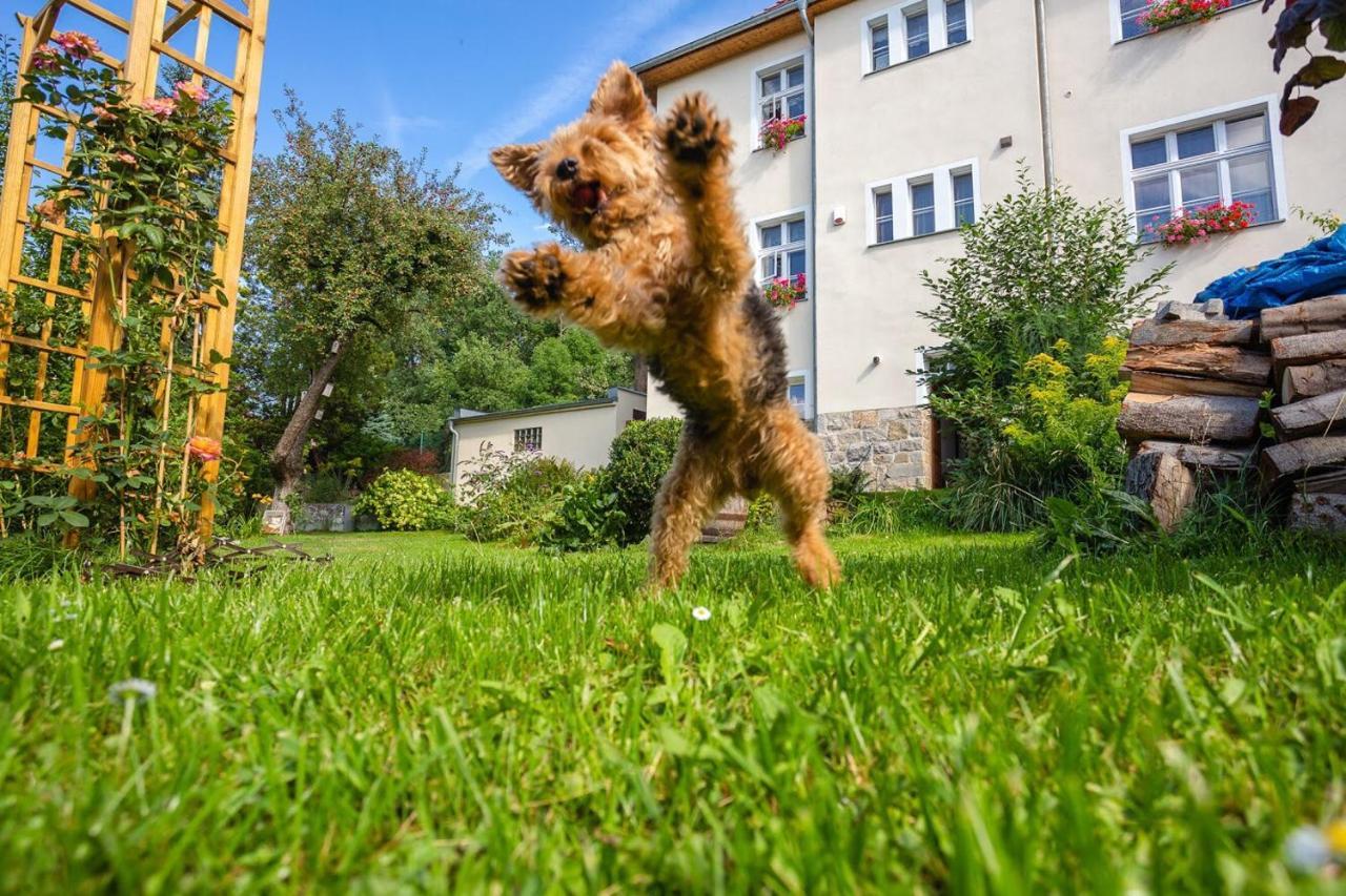 Dom Pod Rybia Skala Appartement Jelenia Góra Buitenkant foto